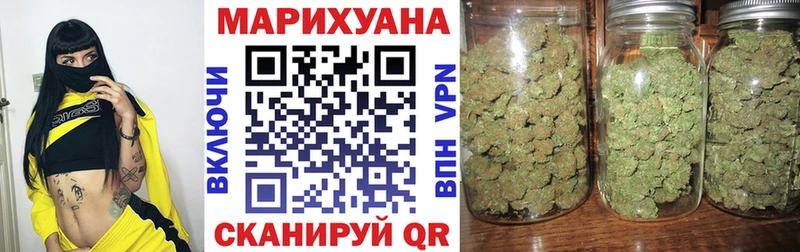Конопля индика  где купить наркотик  Снежногорск 